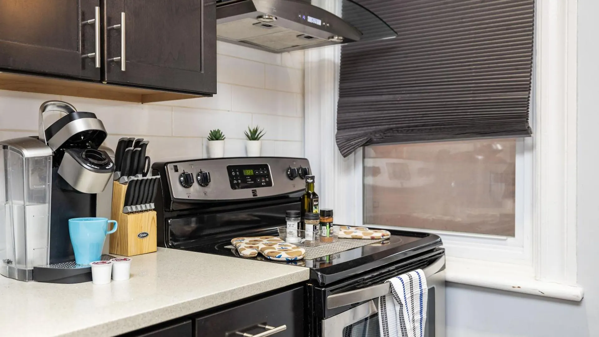 Pet Friendly - 1Br Newly Renovated Apartment Ottawa